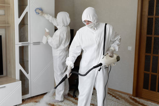 24/7 Emergency Odor Removal experts in Lamar, TX
