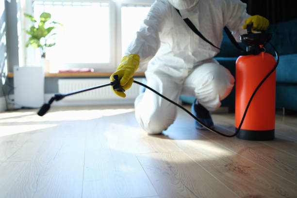 Reliable Odor Removal contractor in Lamar, TX by Trauma Clean Pros